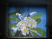 Челябинск фотожалюзи