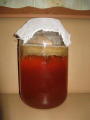 Чайный гриб в Красноярске