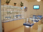 Торговое оборудование,  витрины,  прилавки на заказ