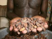 АПП ТРЕЙДИНГ