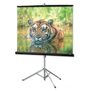 экран для проекции на треноге