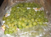 Виноград от производителя