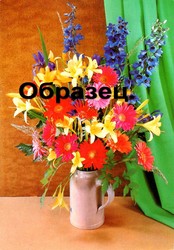 Cтарую открытку