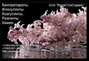 Биопрепараты,  коагулянты,  флокулянты,  реагенты,  химия для очистных 