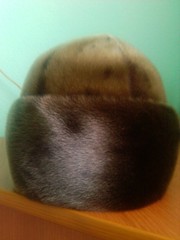 Шапка из нерпы