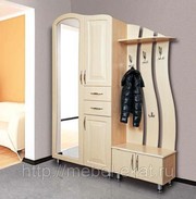 Набор мебели для прихожей Визит-7 АС-М