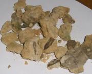 Организация продаст бодягу (Spongilla)