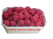 Ягода малина, свежая продаем.