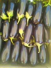 Предлагаем Баклажаны 2012