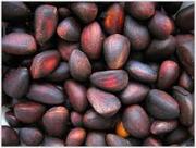 Кедровый орех