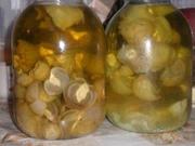 Гриб Веселка