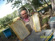 Алтайский мед с семейной пасеки.