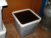 Продаю (купите) мёд пчелиный (гречишный)