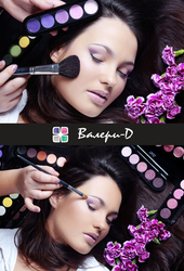 Профессиональные кисти Валери-Д в Новосибирске