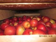 Айдаред - 0, 25 евро / кг  