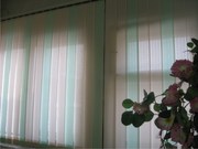 Жалюзи. Новогодняя акция.