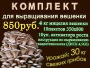 Комплект для выращивания грибов вешенка