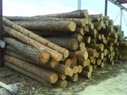 ЛЕС КРУГЛЫЙ.  В наличии и под заказ,  Тел:.766-477 г.Калининград. 