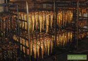 от производителя морепродукты, икра и рыбные отходы оптом