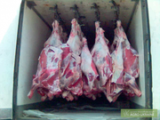 Охлажденное мясо молодой нежирной свинины