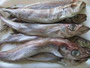 Супер предложение по путассу с/м