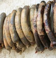 Казы, конина, колбаса. Узбекский казы.