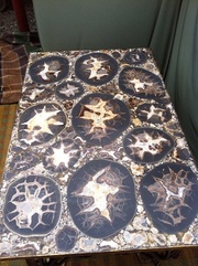 Столы: Окаменелые и кристаллизованные морские существа