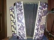 Баян голосистый