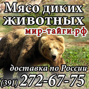 Пернатая дичь, боровая дичь, мясо тетерева