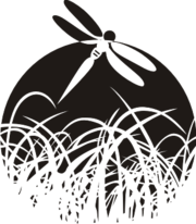 Необычные дизайнерские товары для интерьера 