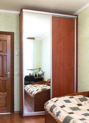 Шкаф-купе 2х дверные