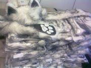 Оригинальные шапки с ушками Spirithoods в наличии