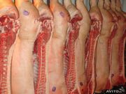 Свинина оптом в полутушках охл/зам от производителя