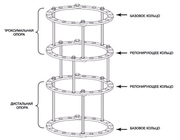 Аппарат Елизарова
