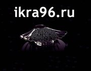 Черная Икра опт и розница, доставка по всей России