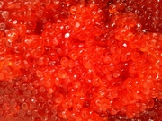 Икра красная соленая кеты