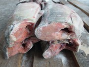 Кета оптом, склад - Владивосток