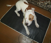 коврик для животных с электрообогревом