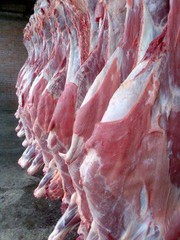Мясо говядина,  телятина,  баранина,  конина,  яка