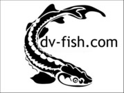 Дальневосточные деликатесы