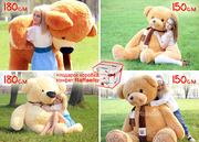 Срочная распродажа всех Мишек! Скидки 50-60%. Ликвидация склада.