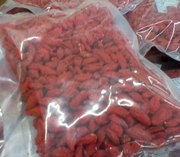 Ягоды годжи. Оптом. От 5кг. Все в наличии. Жми