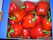 Прямые поставки фруктов и овощей из Испании.