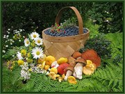 Лесная земляника, черника, белые грибы с доставкой