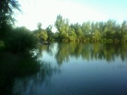 Продам дом с земельным участком на берегу реки.