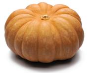 Тыква оптом из Краснодарского края