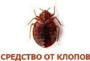 Средство от постельных клопов «Палач-!» опт и розница.