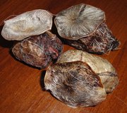 продам струю