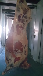 Мясо, говядина, мясопродукты