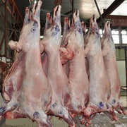 мясо баранины